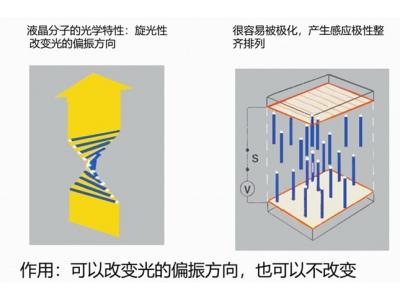 液晶基本概念介紹